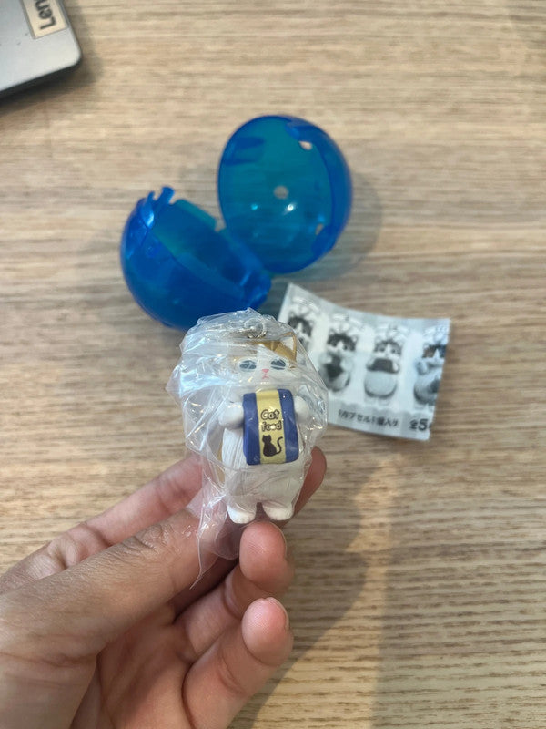New Japan 2025 Mofusand Onedari Nyan Cat Mascot Figure Keychain collections