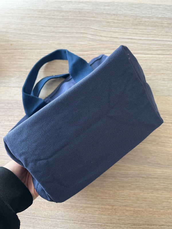Sanrio Cinnamoroll lunch bag / hand bag
